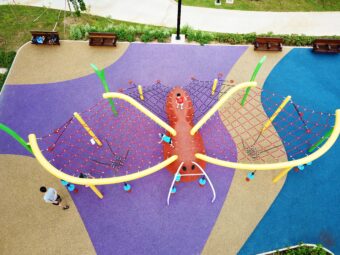Butterfly playground